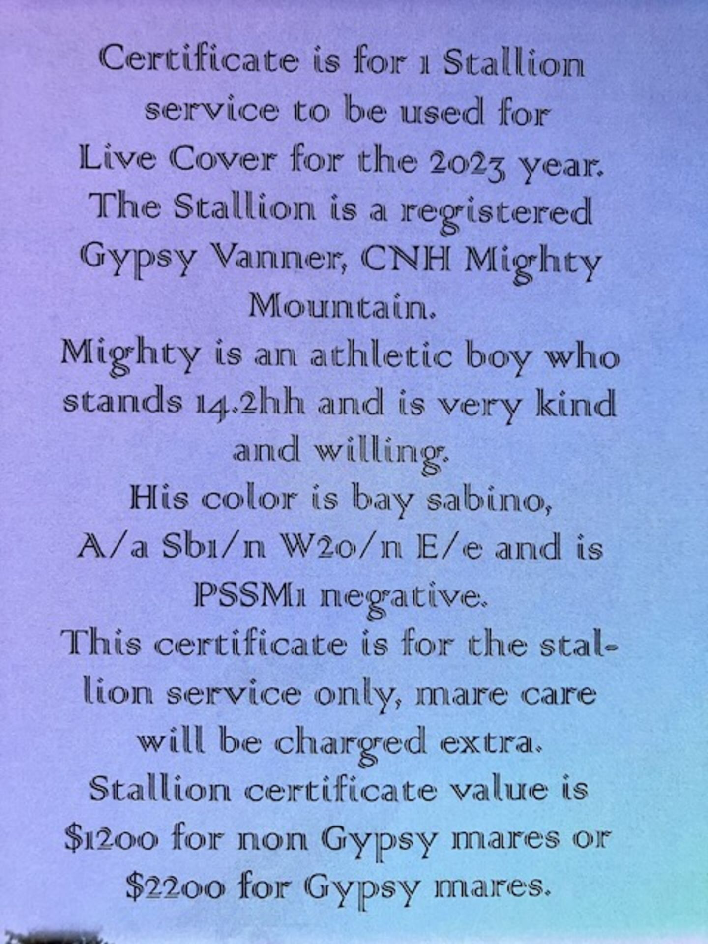 CNH GIFT CERTIFICATE FOR 1 GYPSY STALLION SERVICE (LIVE COVER ) - Image 2 of 4