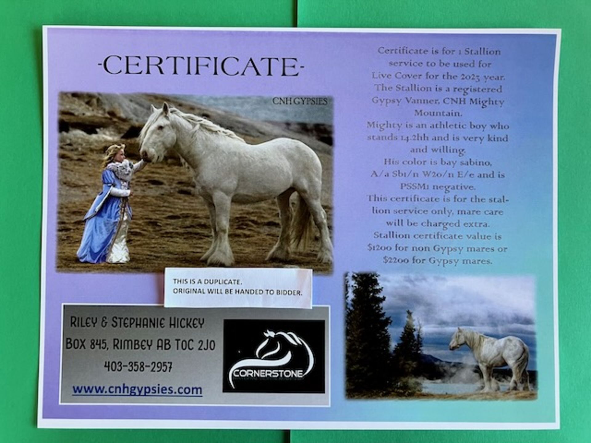 CNH GIFT CERTIFICATE FOR 1 GYPSY STALLION SERVICE (LIVE COVER )