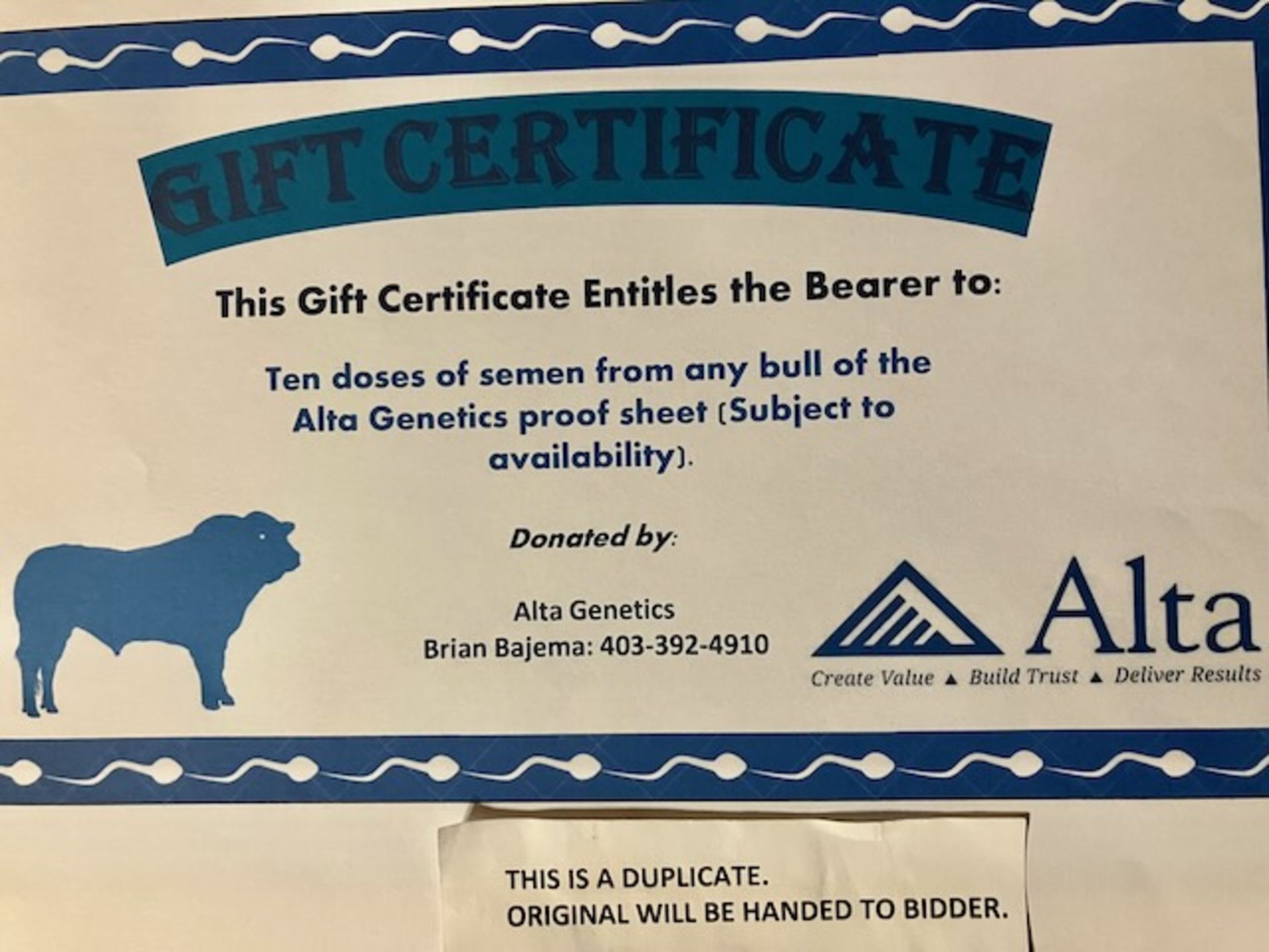 ALTA GENETICS GIFT CERTIFICATE: 10 DOSES OF BULL SEMEN - Image 2 of 2