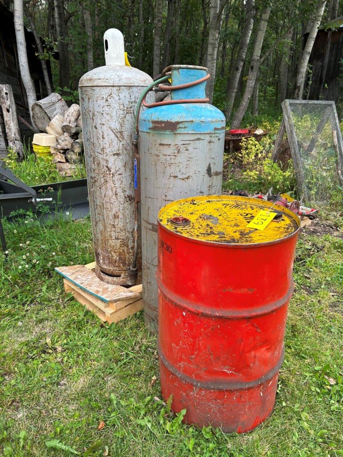 2 - USED 100LB PROPANE CYLINDERS (1 WITH TIGER TORCH) - Image 2 of 4