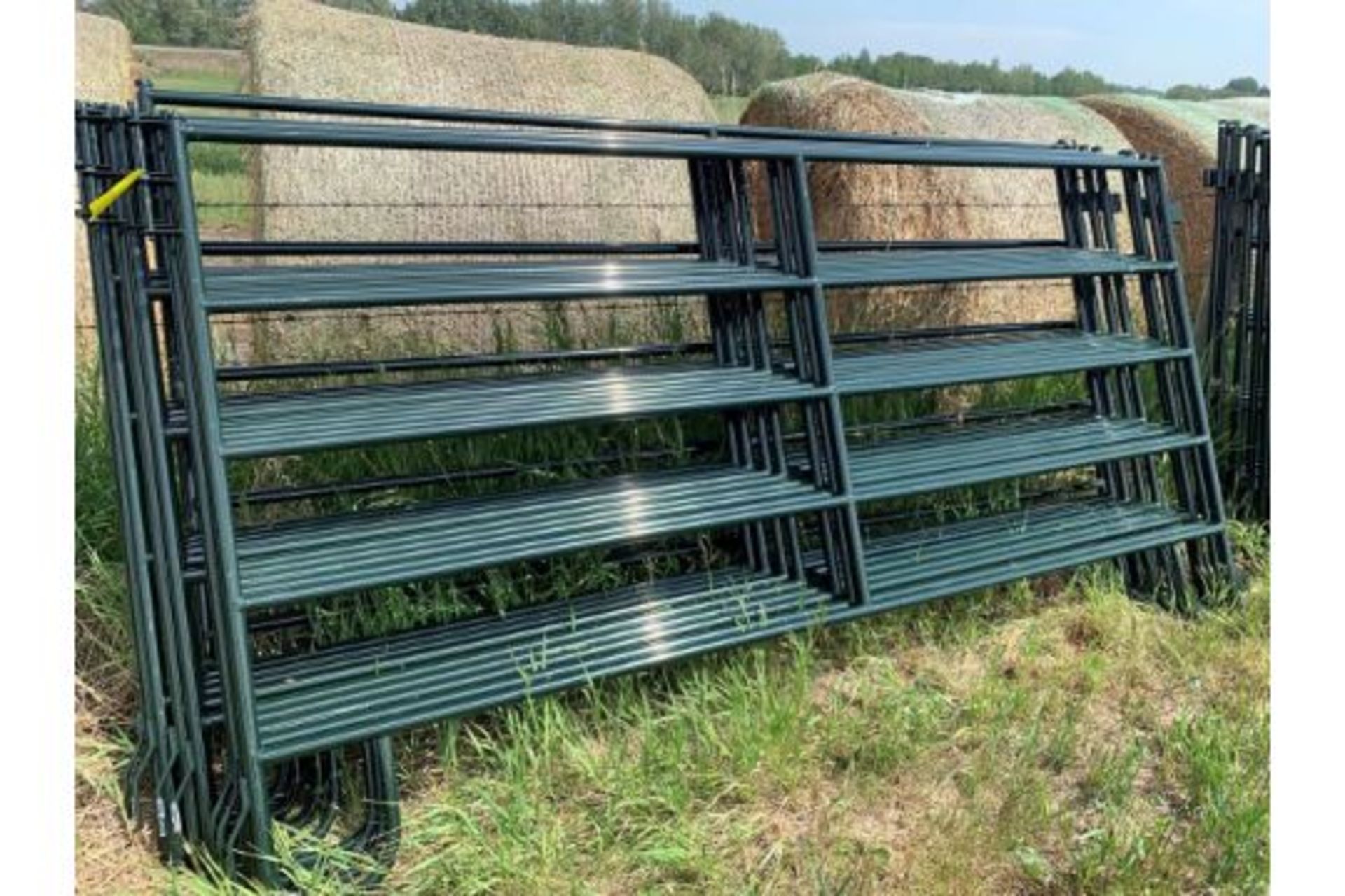 **LOCATED AT MAS** TEN 10 FT X 5 FT LIVESTOCK RANCH PANELS (TIMES THE MONEY X 10)