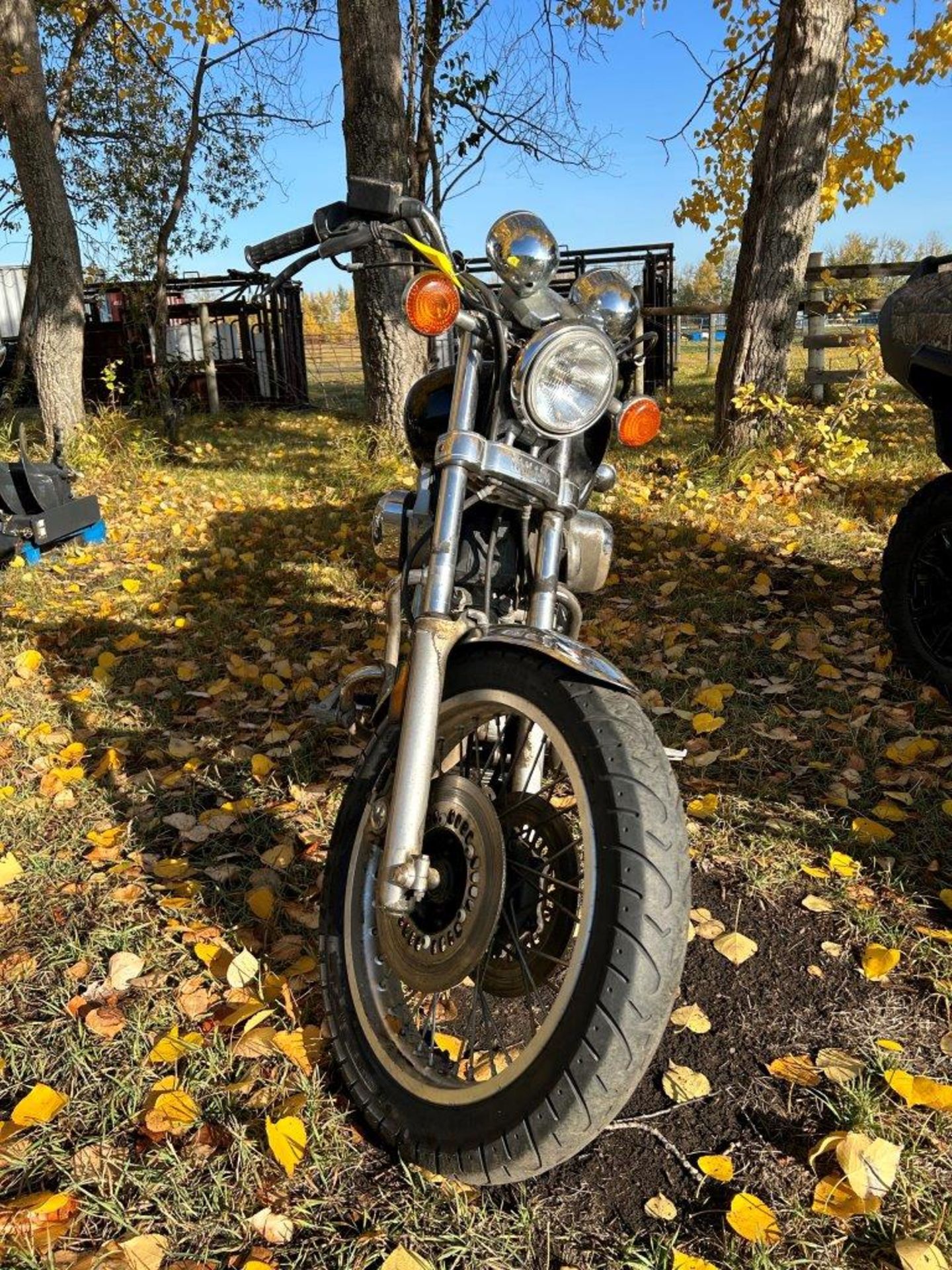 **LOCATED AT MAS** YAMAHA VIRAGO MOTORCYCLE 38923 KM'S S/N: JYA42U008EA001257 **ESTATE