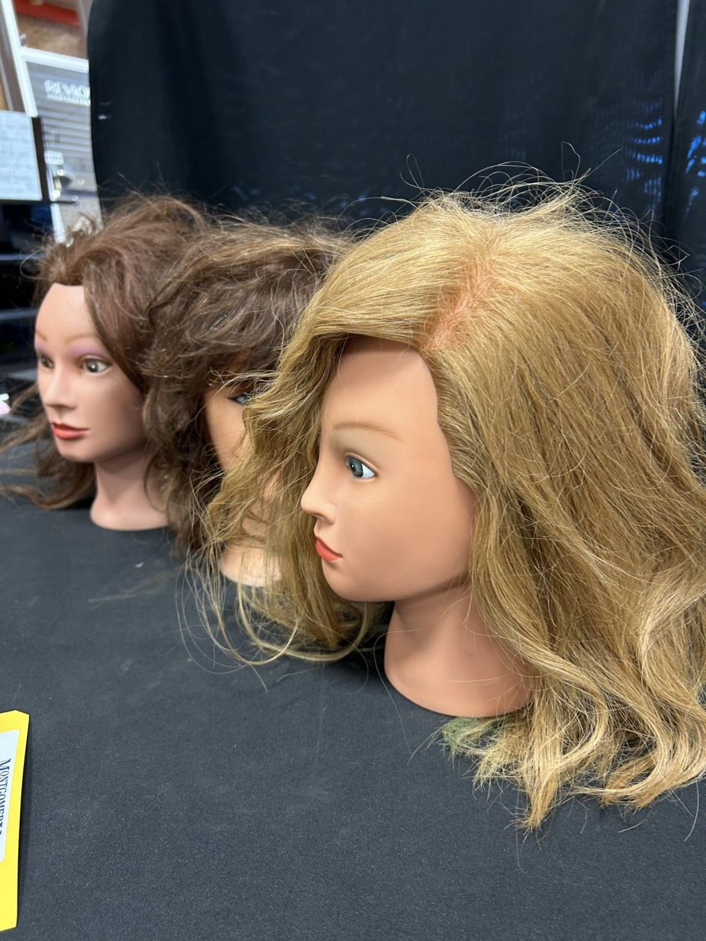 FEMALE MANNEQUIN PRACTICE HEADS - Image 3 of 5