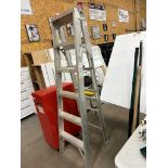 L BON ALUMINUM COMBO LADDER, 6 FT