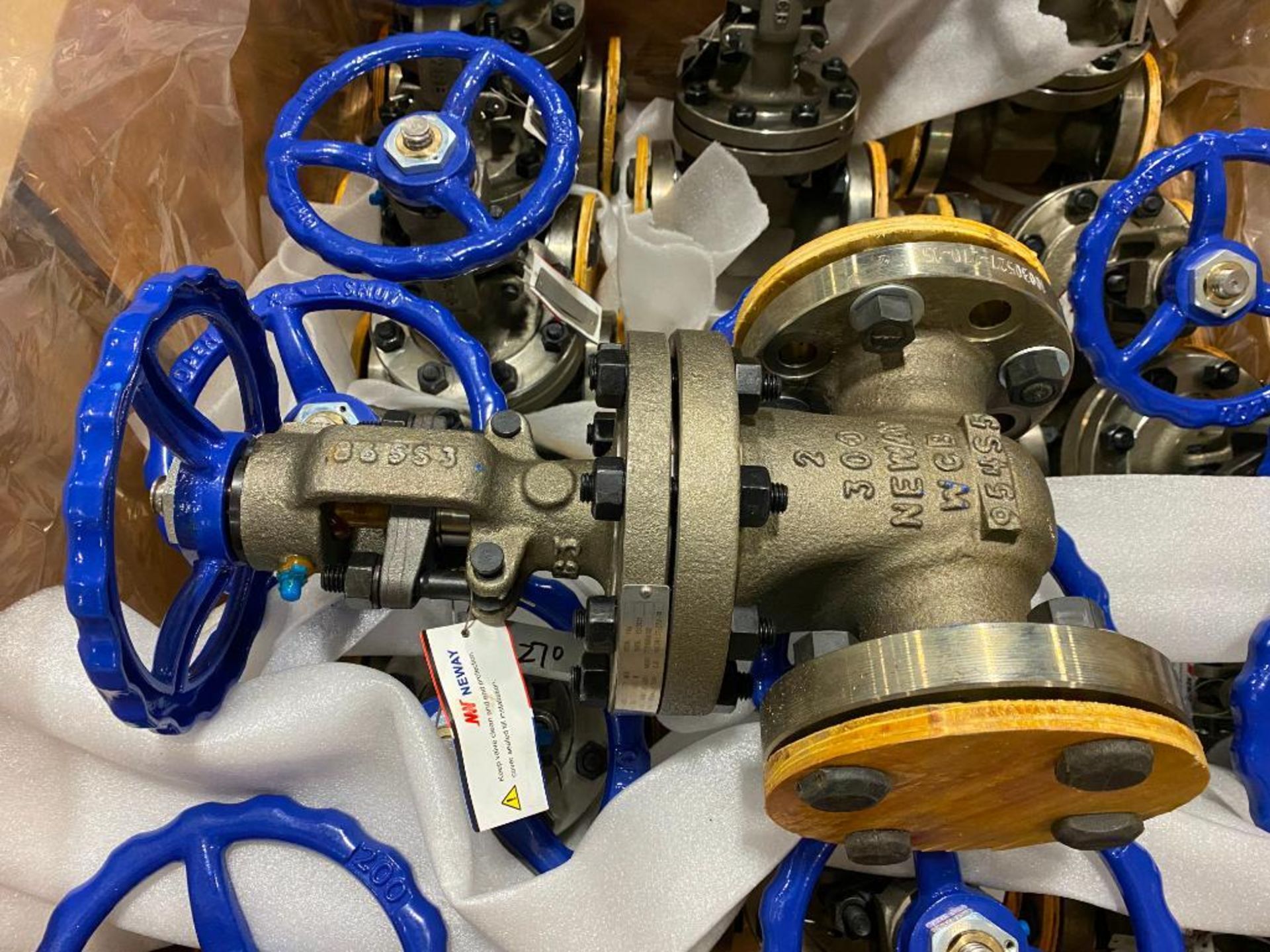 (16) Neway Gate Valves, 2"-300-WCB - Image 3 of 6