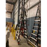 Little Giant Ladder Systems Cage Ladder, 7'9"-13'6" Max. Standing Level