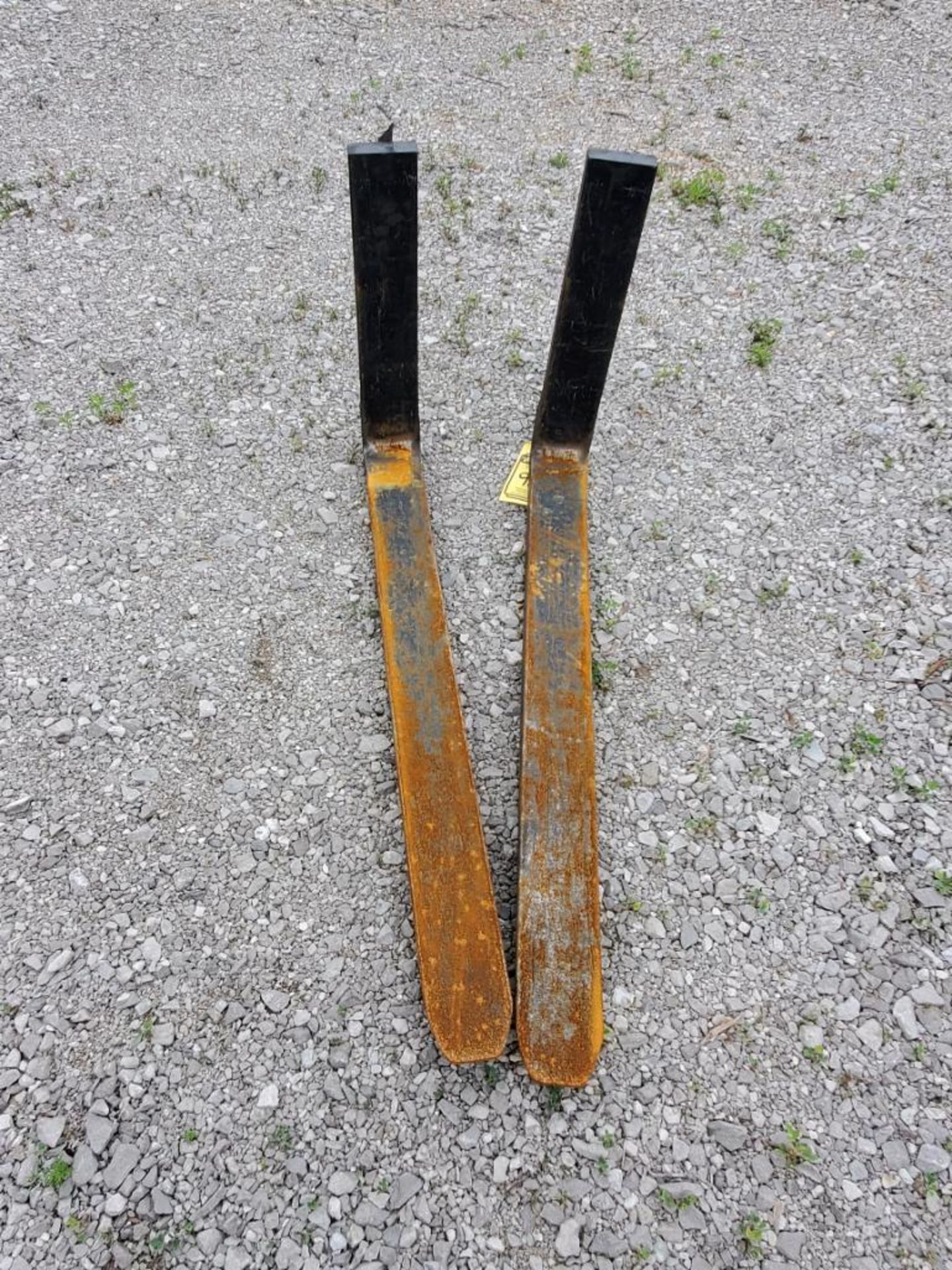 (2) 42" Forklift Forks