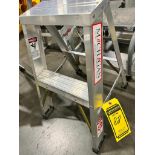 Michigan Aluminum Step Ladder, 225 LB. Max. Weight