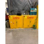 (2x) Protectoseal Flammable Liquid Storage Cabinet