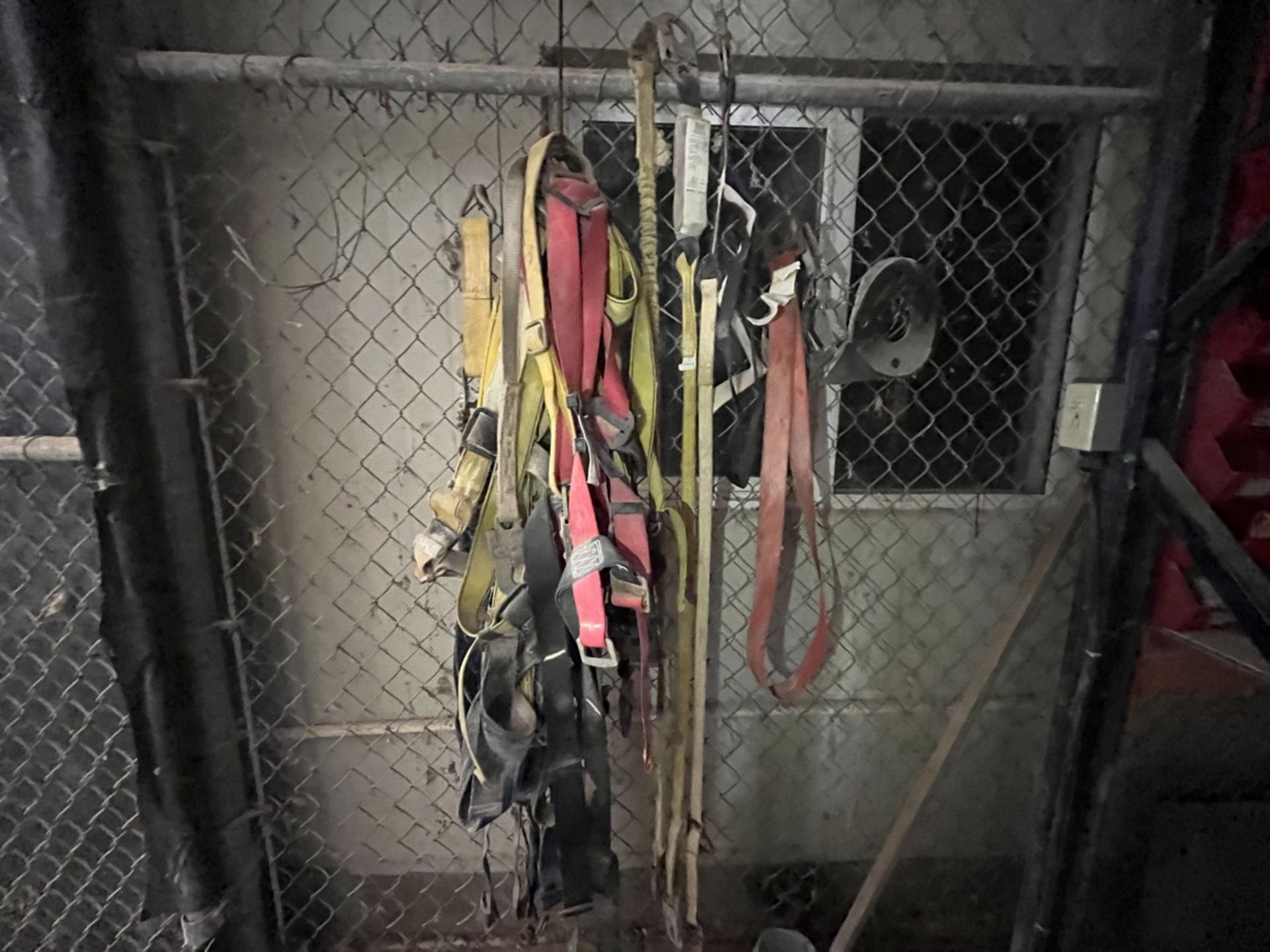 General contents of the spare parts room (zone i2,i3,i4): Belts of different brands and sizes, Calo - Image 3 of 25