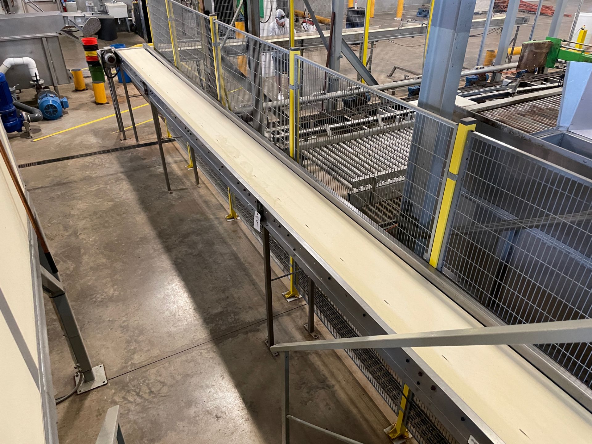 MAF Industries Fruit Rejection Conveyor, w/ Drive, Approx Dims: 16in - Subj to Bulk | Rig Fee $650