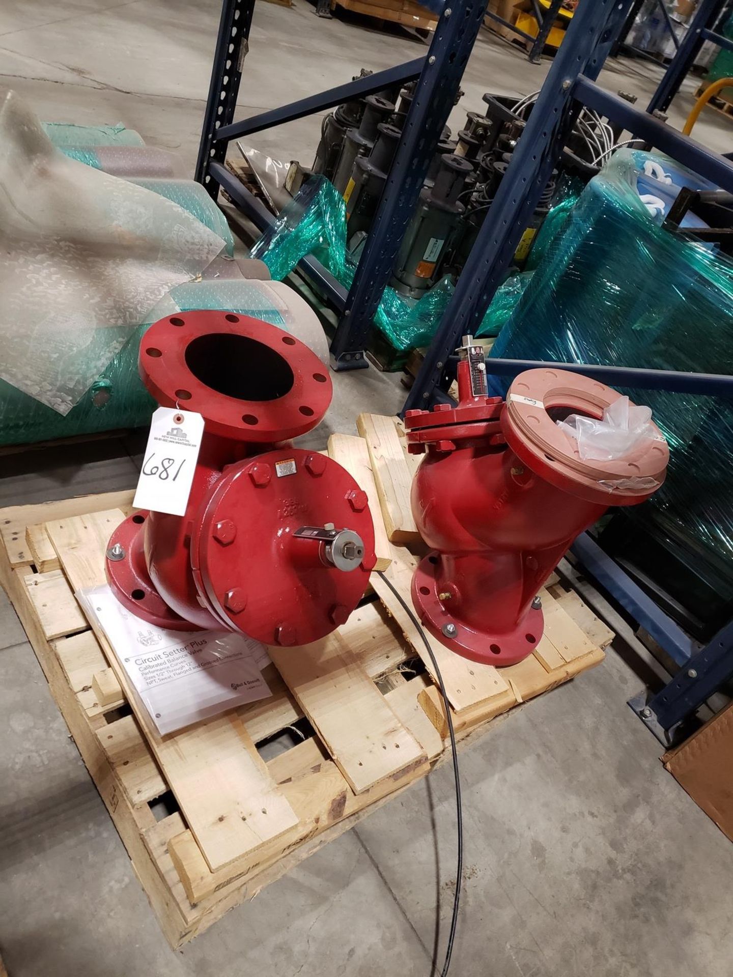 Lot of (2) Back Pressure Valves | Rig Fee $35