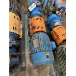 Reliance Electric 7.5 HP Duty Master Industrial Motor with Goulds Model E | Rig Fee $25