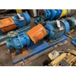 Reliance Electric 15 HP Duty Master Industrial Motor with Goulds Model 32 | Rig Fee $25