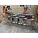 Stainless Steel 3-Compartment Sink (Approx. 28" x 8'6") | Rig Fee $150