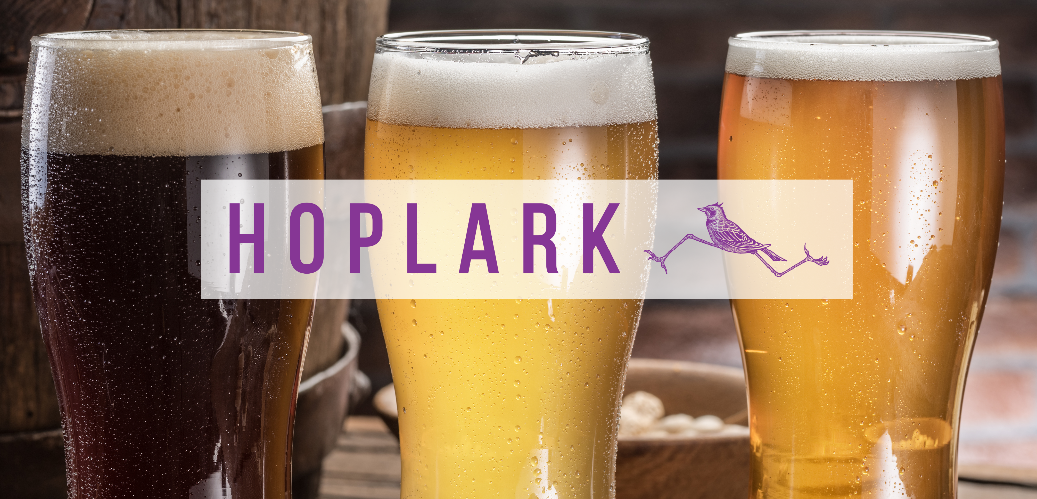Hoplark Brewery: 2022 Cask Canning Lines, SKA Depal, 2022 DMM Case Packers, 2019 Pasteurizer, Kettle, 2019 Fermenters & Brite Tanks to 120 BBL