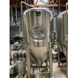 Alpha 15 BBL Stainless Steel Fermentation Tank - Cone Bottom Glycol Jacketed, Mandoor | Rig Fee $950