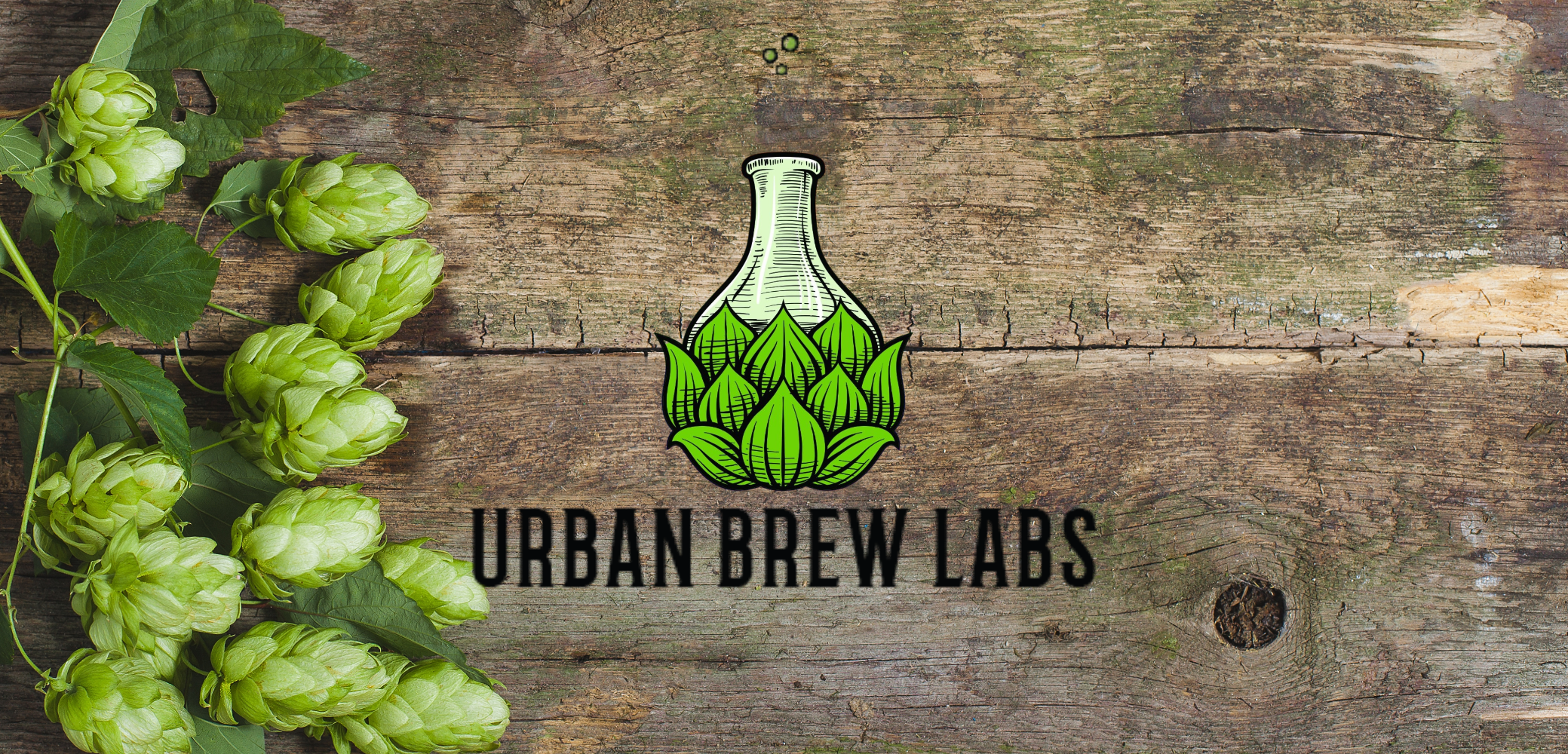 Urban Brew Labs Online Auction - 15 BBL Brewhouse, (7) Fermenters, Boiler, Keg Washer, Grain Mill, Support & More