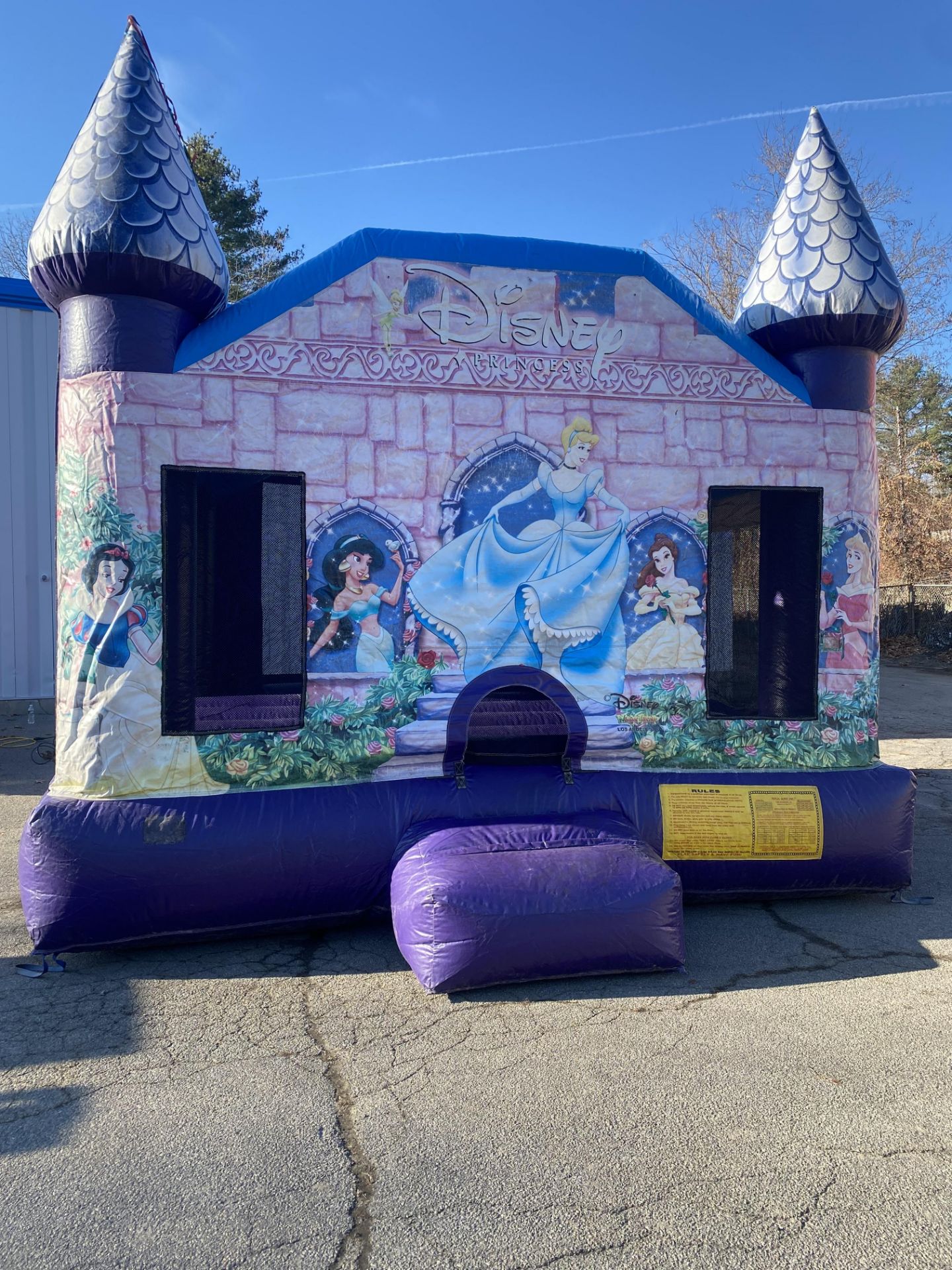 Disney Princess Themed Bounce House w/Blower, 15 x 15,(Pics were taken 12/1 Blown up In Our Parking