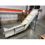 PLASTICS PROCESS EQUIPMENT S1V-1809 Incline Conveyor, s/n S1V1809H10420820