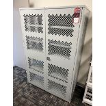 PUCEL Security Cabinet Approx 78"x 4' x 2'