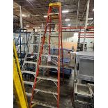 Werner 10' Step Ladder