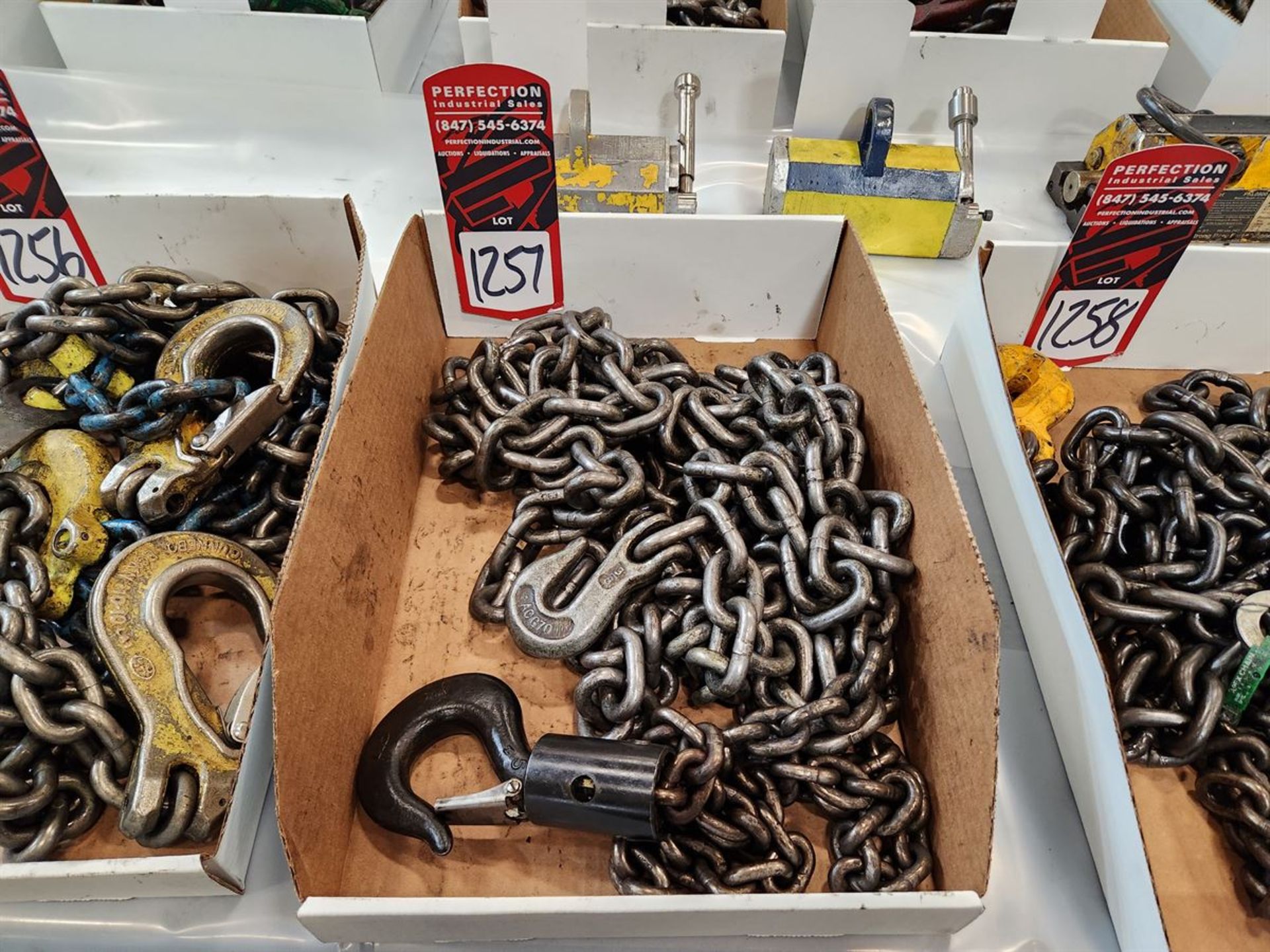 Lifting Chain w/ 2 Hooks