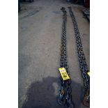 CHAIN BRIDLE, 12', 2-leg