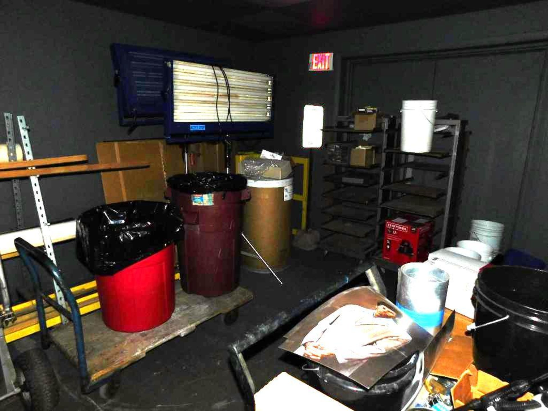 LOT: Contents of Room: (2) Ice Lights, (2) Rolling Steel Storage Cages, Building Supplies, Shop Cart - Image 4 of 4