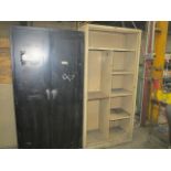2 Door Cabinet and Shelf Unit
