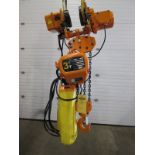 RW 3 Ton Electric chain hoist with power trolley and 8 button pendant controller - 220V - 20 foot