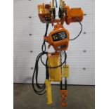 RW 1 Ton Electric chain hoist with power trolley and 8 button pendant controller - 220V - 20 foot
