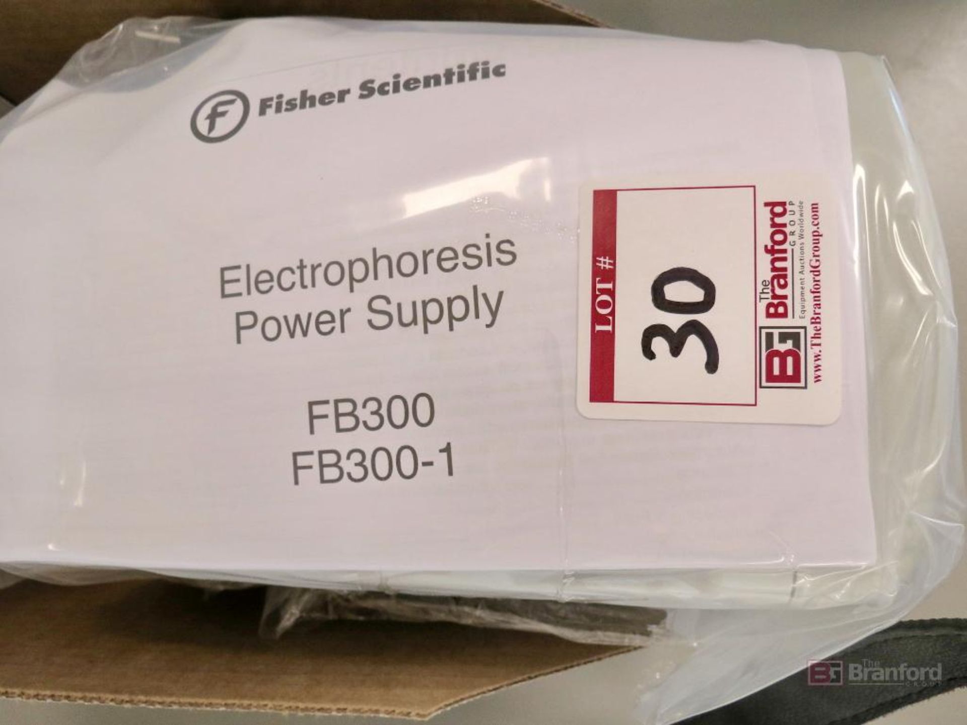 Fisher Scientific FB300 Electrophoresis Power Supply - Image 3 of 3