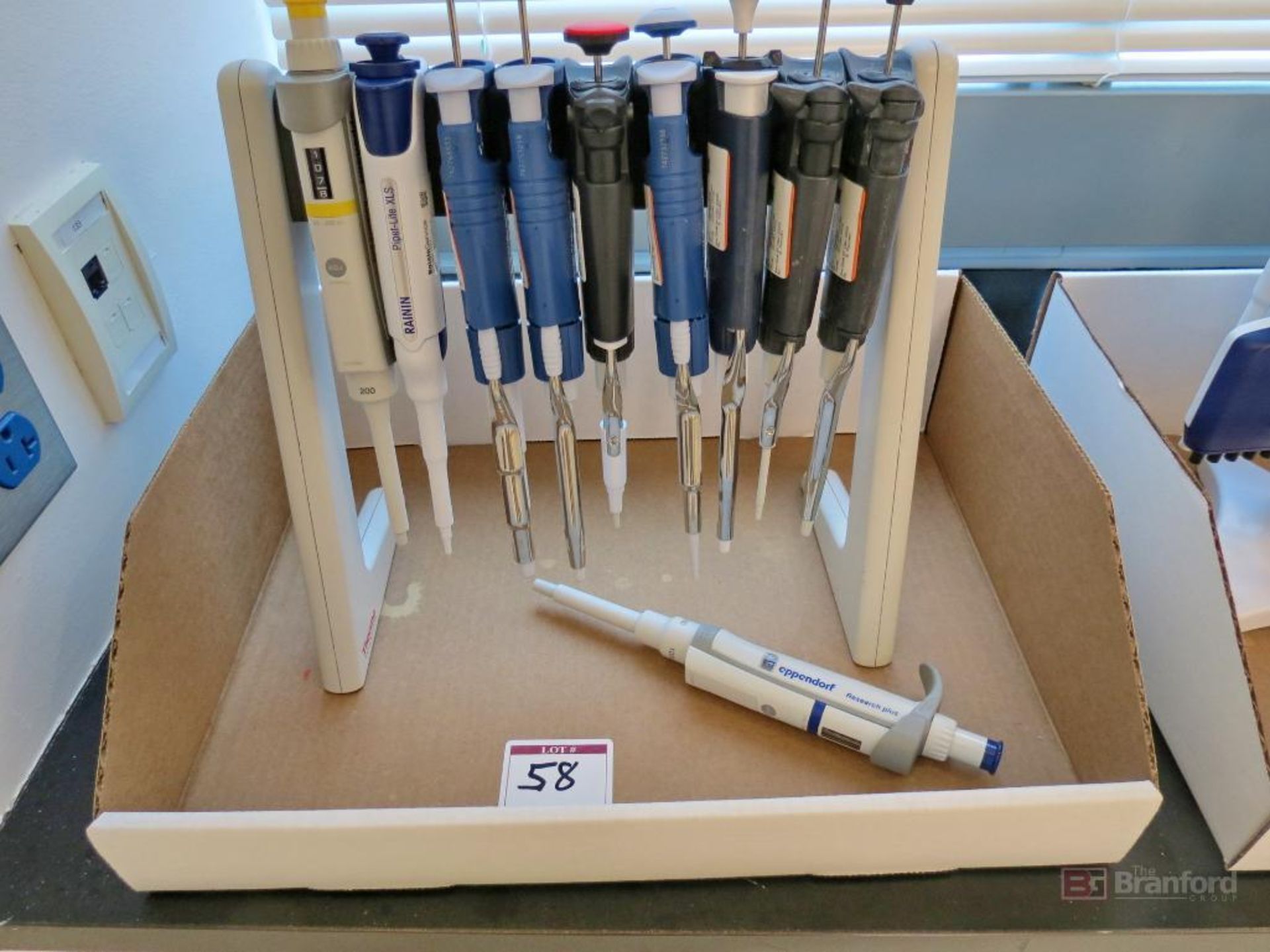 Lot of (10) Assorted Pipettes