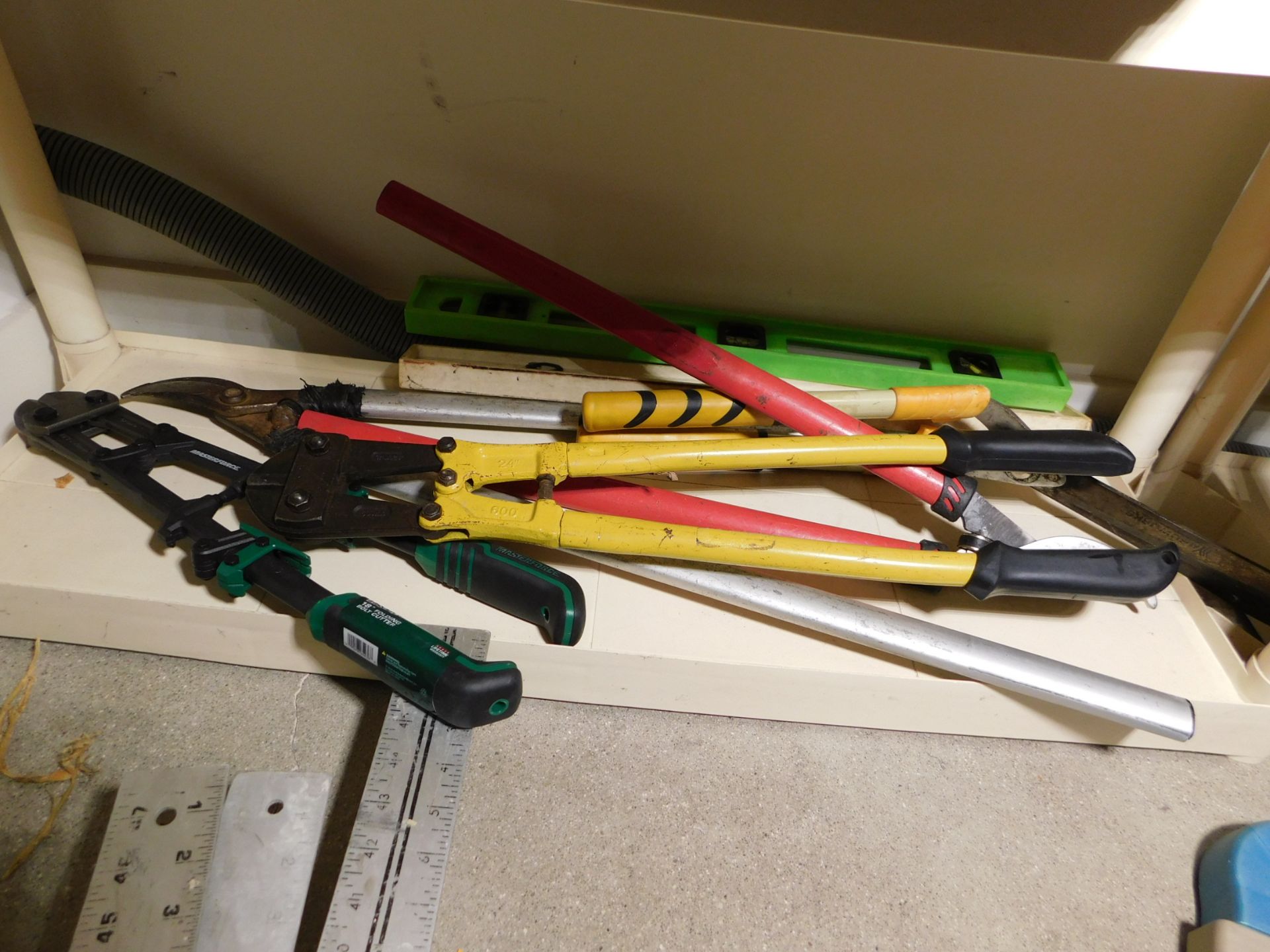 Contents of Shelf, Levels, Clippers, Snips