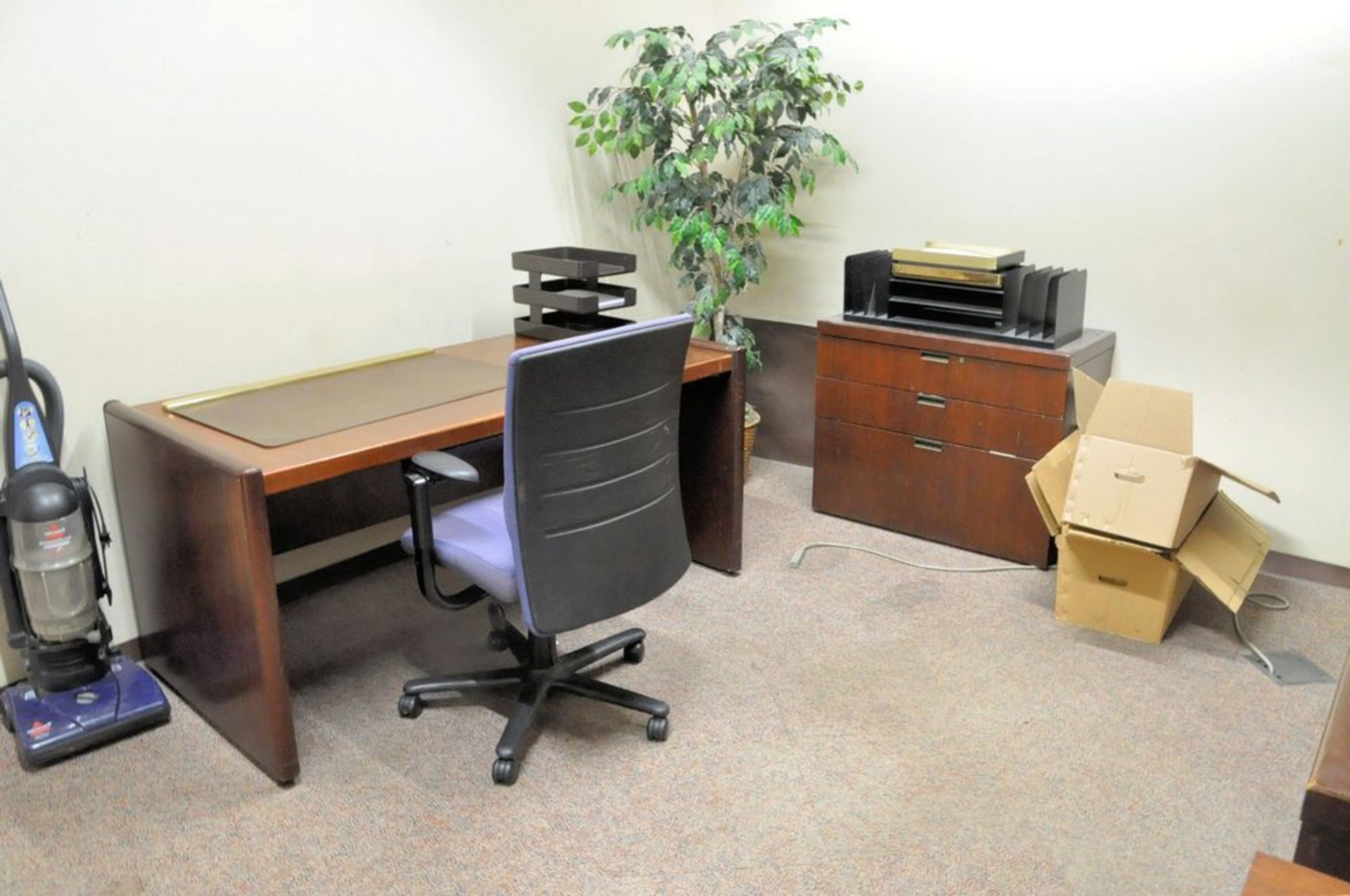 Lot-(1) Desk, (3) Lateral File Cabinets, (1) Chair, (1) Plant, (1) Bissell Power Force Upright