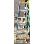 Werner 6' Fiberglass Step Ladder