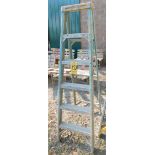 Werner 6' Fiberglass Step Ladder