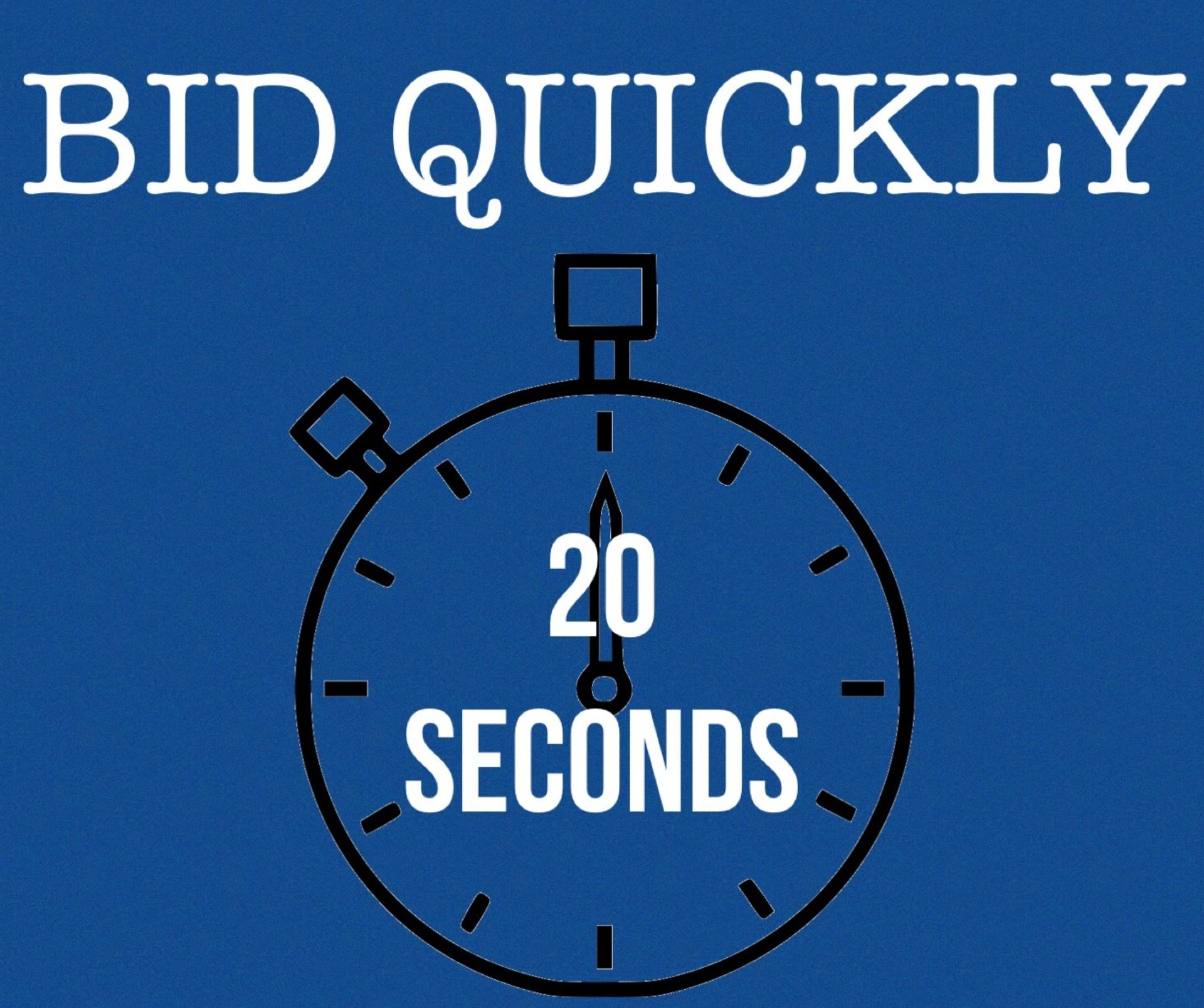 BID QUICKLY, LOTS WILL BE ENDING EVERY 20 SECONDS AT THIS AUCTION!