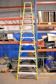 Werner 12' Fiberglass Step Ladder