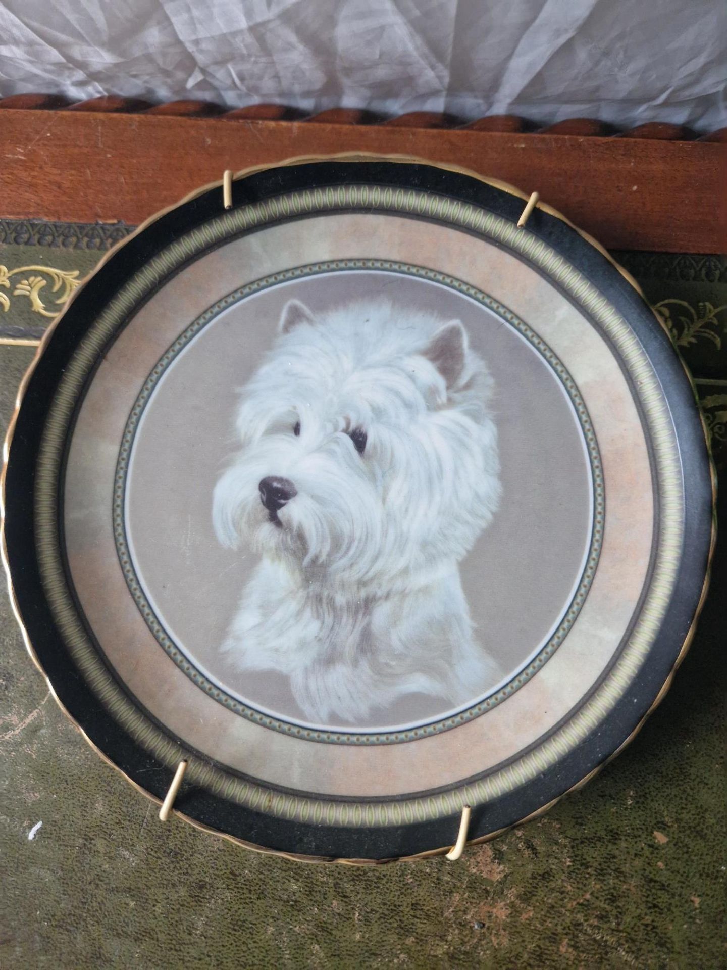 Dog Decorative plate