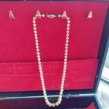 Pearl necklace with sterling silver clasp