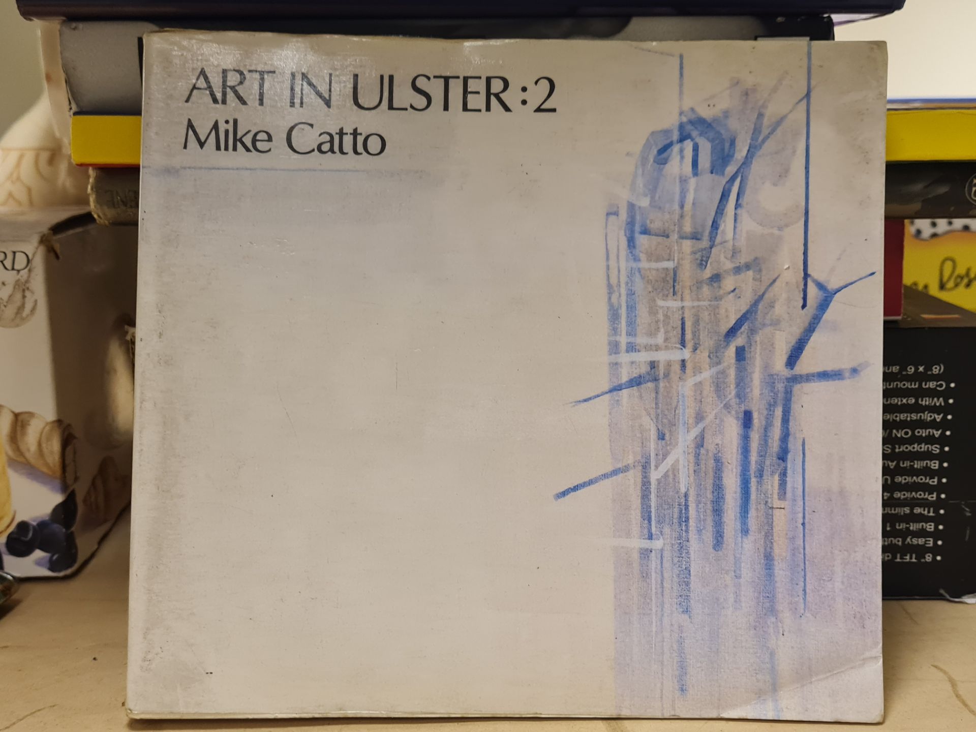 art in ulster mike catto