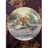 Puppy playtime plate - catch of the day