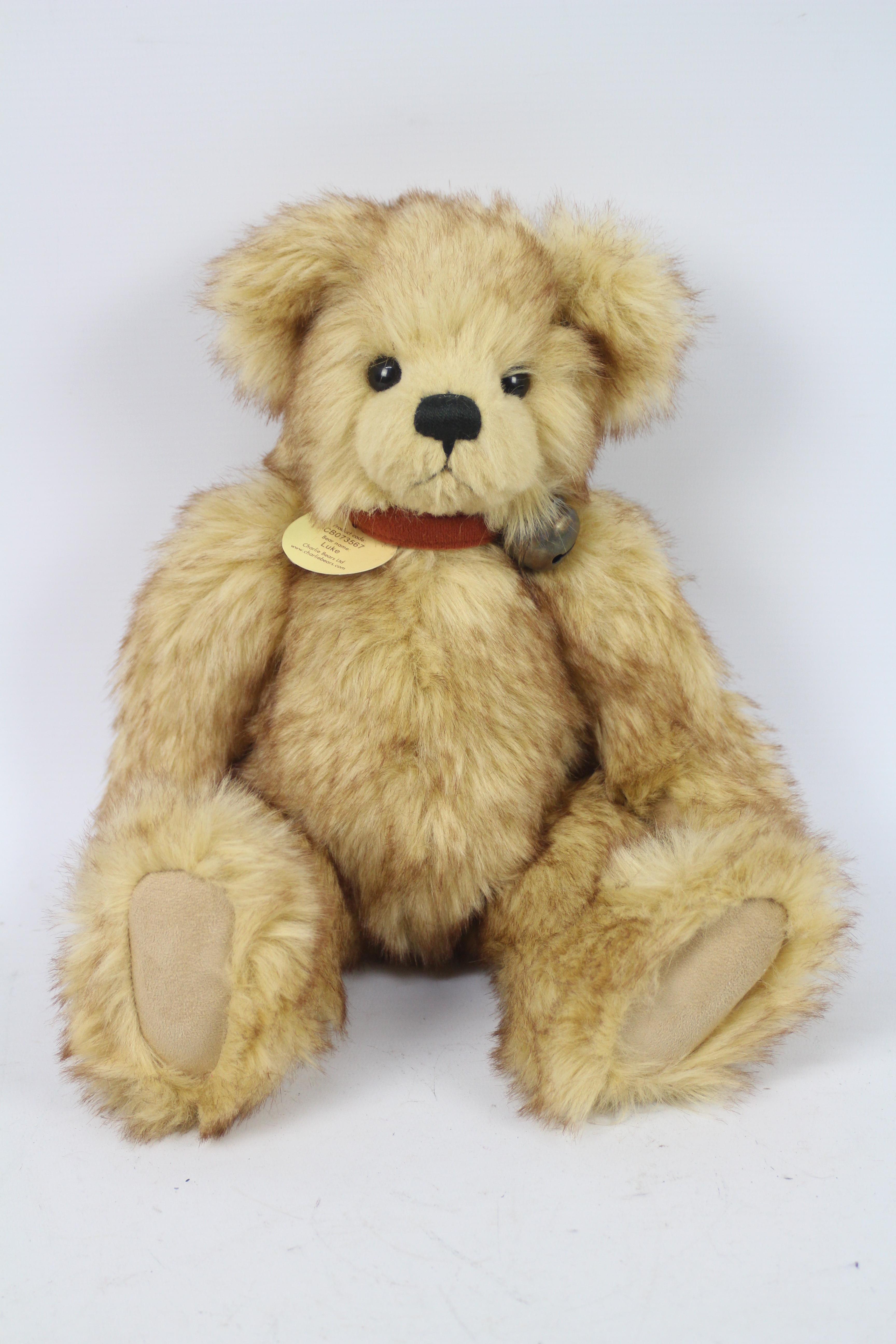 Charlie Bear - A 'Luke' Charlie Bear #CB073567 with tag attached at neck and brown/red soft collar