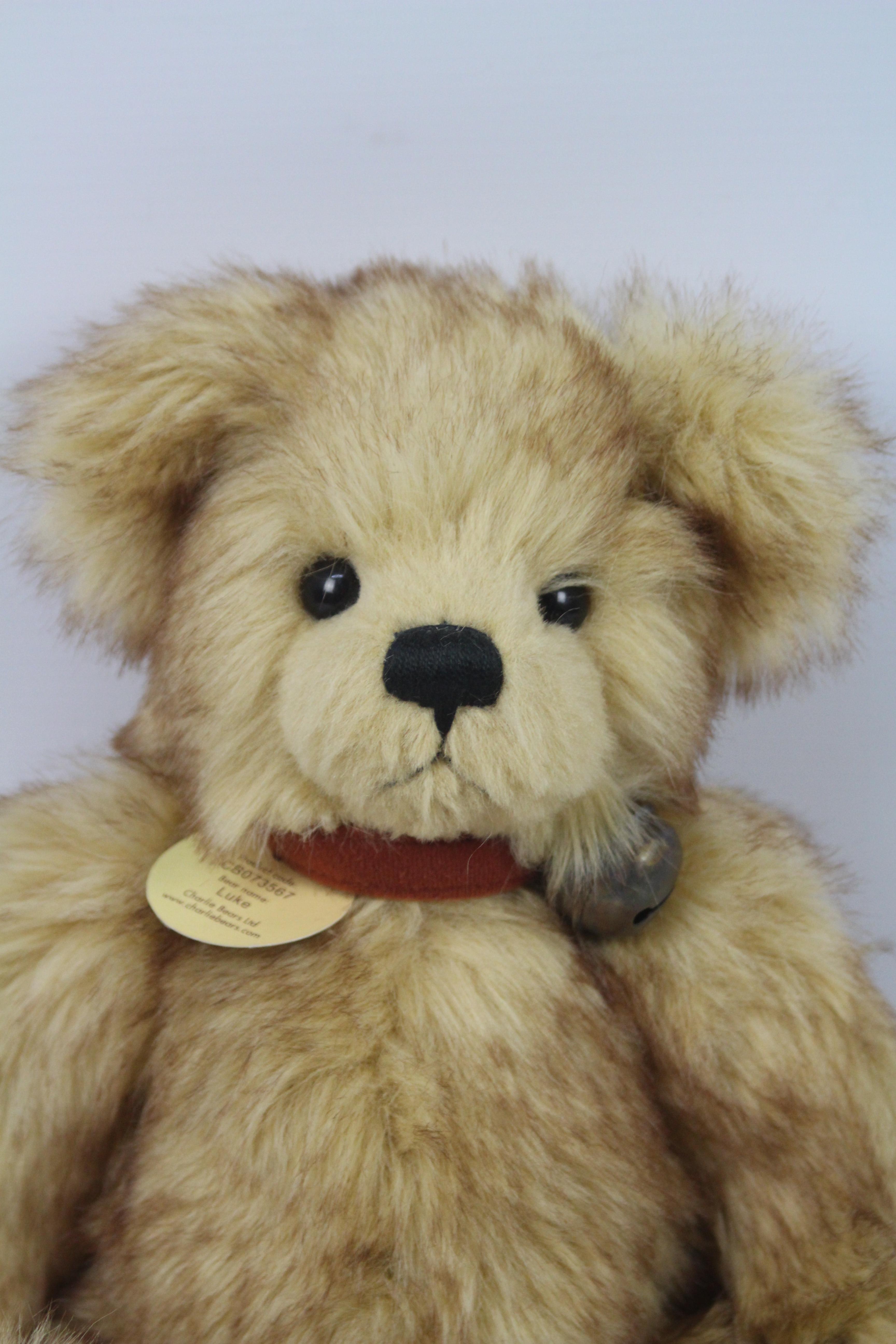 Charlie Bear - A 'Luke' Charlie Bear #CB073567 with tag attached at neck and brown/red soft collar - Image 2 of 6