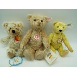 Steiff - three Bears comprising Classic Teddy 28 cm (h), a replica 1948 Bear 24 cm (h),