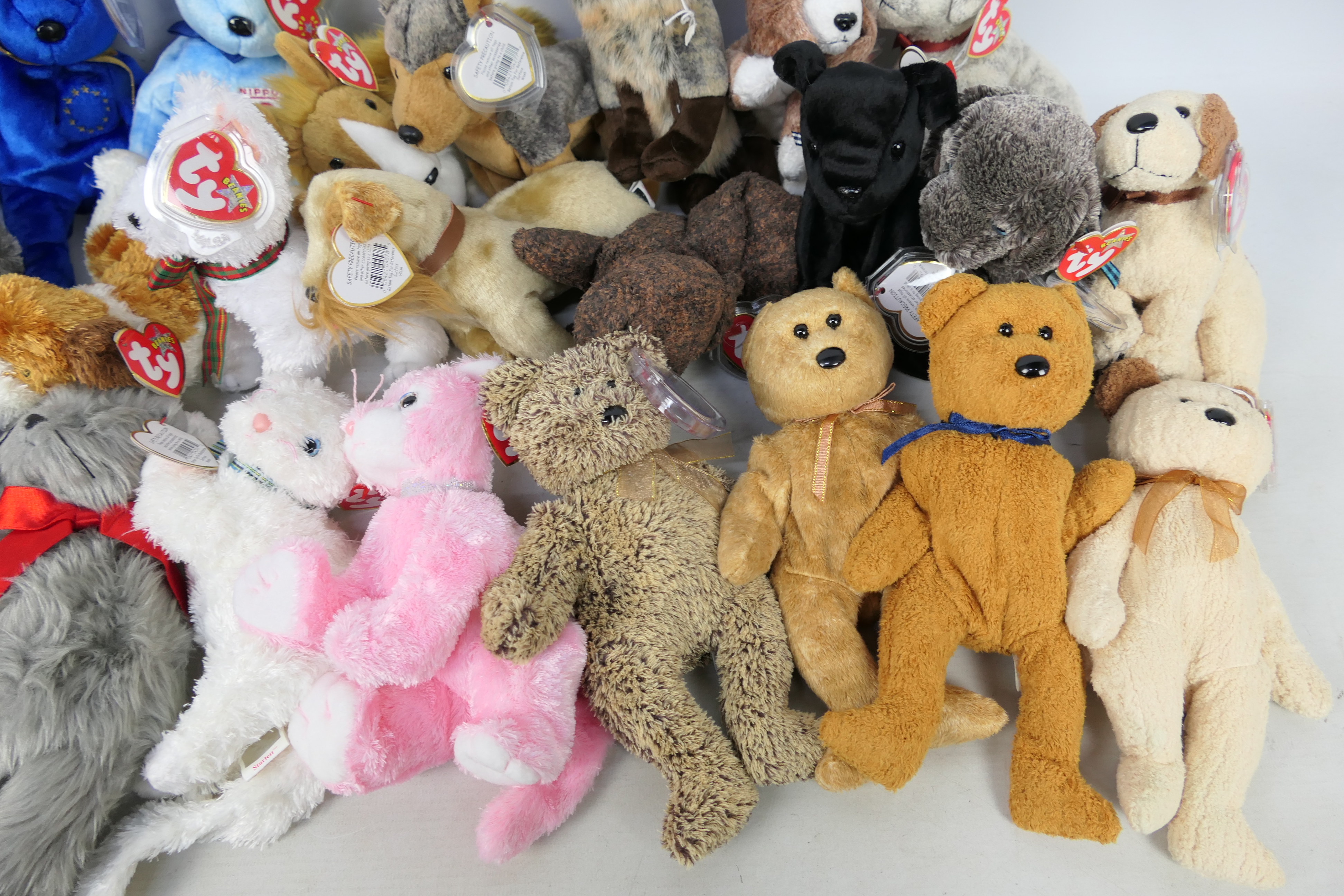Ty - 32 x Ty Beanie Baby bears and soft toys - Lot includes 5 x dog-themed Beanie Baby soft toys to - Image 4 of 5