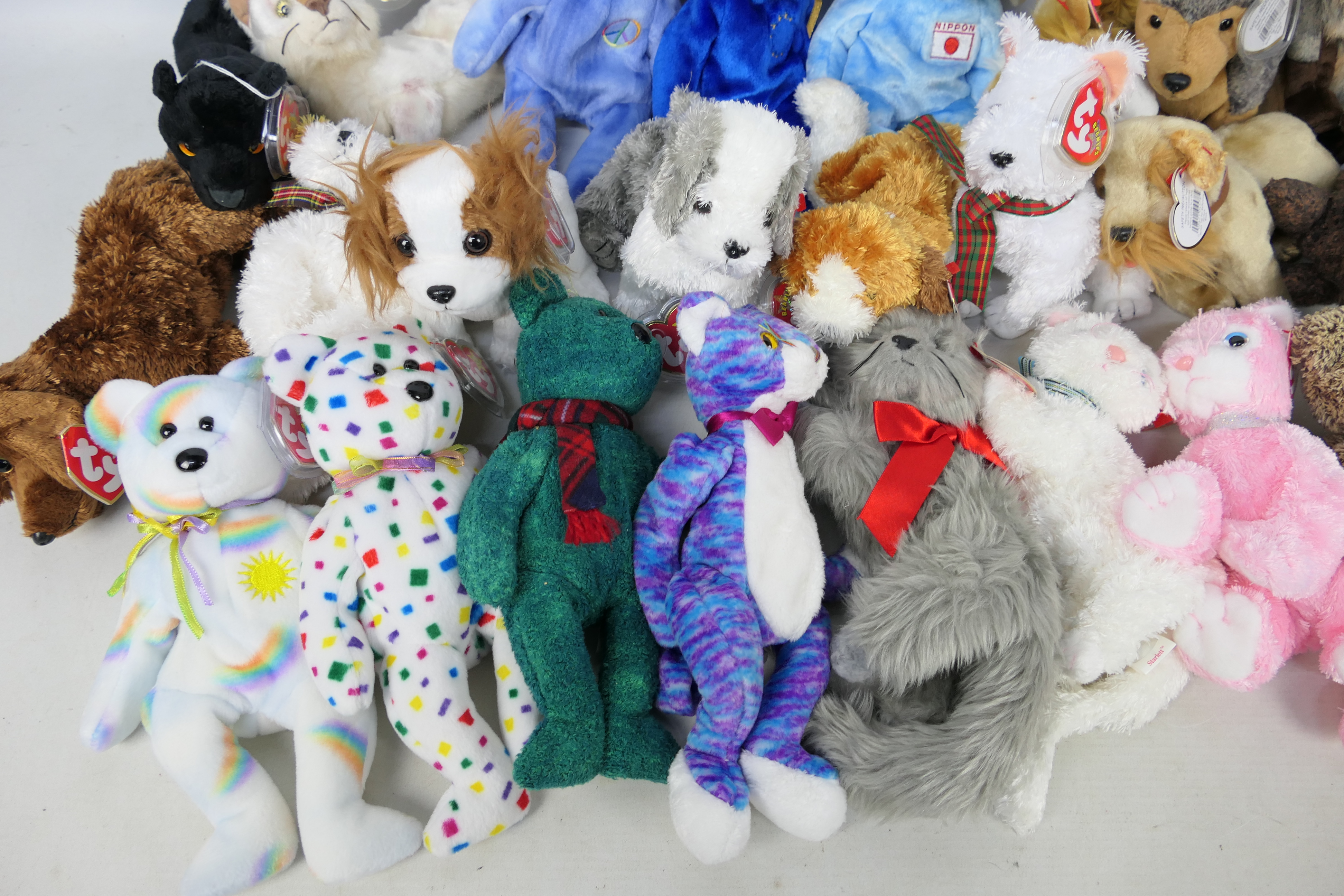 Ty - 32 x Ty Beanie Baby bears and soft toys - Lot includes 5 x dog-themed Beanie Baby soft toys to - Image 5 of 5