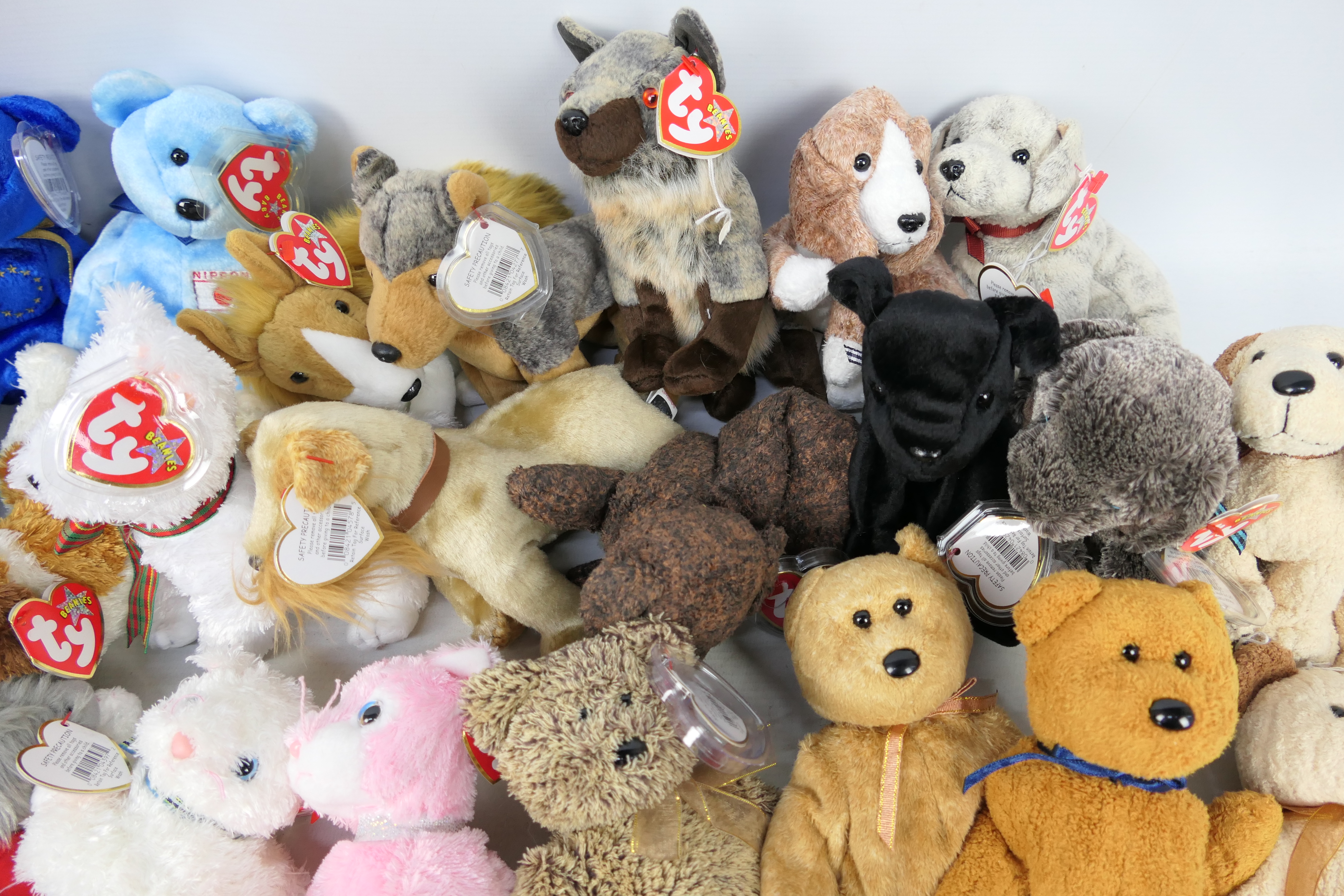 Ty - 32 x Ty Beanie Baby bears and soft toys - Lot includes 5 x dog-themed Beanie Baby soft toys to - Image 3 of 5